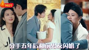 分手五年后，和前男友闪婚了 全集 (下)(大结局)