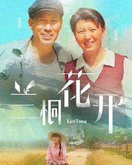 兰桐花开 第40集