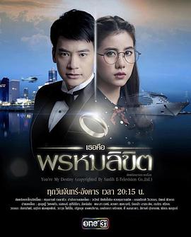 命中注定我爱你 第12集