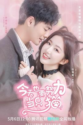 今天也要努力当只猫 第16集