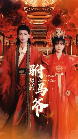 契约驸马爷 全集(大结局)