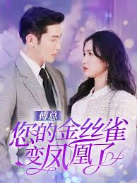 傅总您的金丝雀变凤凰了 全集(大结局)