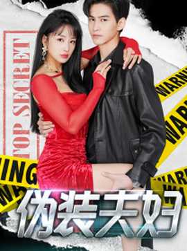 伪装夫妇 全集(大结局)