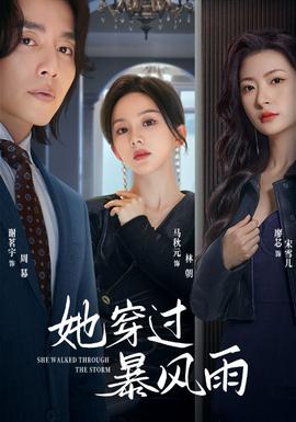 她穿过暴风雨 全集(大结局)
