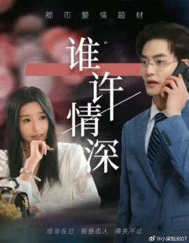 谁许情深 全集(大结局)