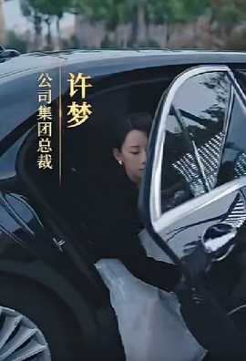 女老板的复仇 全集(大结局)