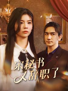 宋秘书又辞职了 全集(大结局)