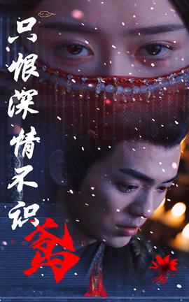 只恨深情不识鸢 第72集