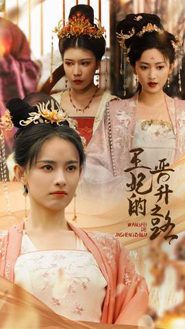 王妃的晋升之路 全集(大结局)