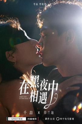 在黑夜中相遇 全集(大结局)