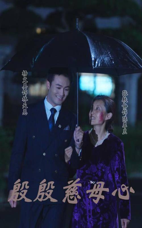 殷殷慈母心 全集(大结局)