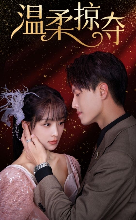 温柔掠夺 1-20集