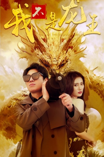 我不是龙王 全集 (下)