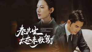 秦先生，太太来救驾了 全集 (下)