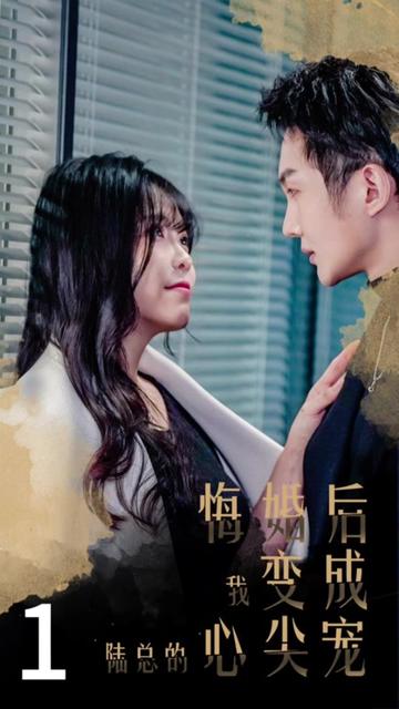 悔婚后，我变成陆总的心尖宠 全集(大结局)