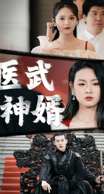 医武神婿 全集(大结局)