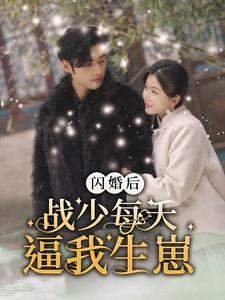 闪婚后战少每天逼我生崽 全集(大结局)