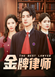 金牌律师 全集(大结局)