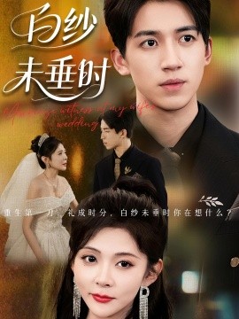 老婆婚礼我当证婚人 白纱未垂时(全集)
