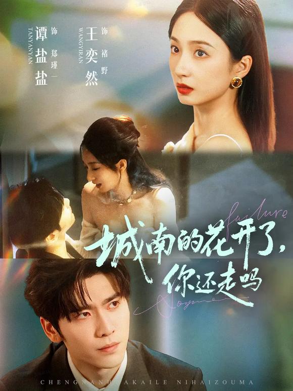 城南的花开了，你还走吗(全集)