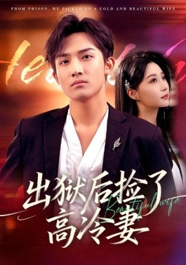 出狱后捡了高冷妻(全集)