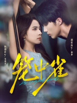 笼中雀短剧(全集)