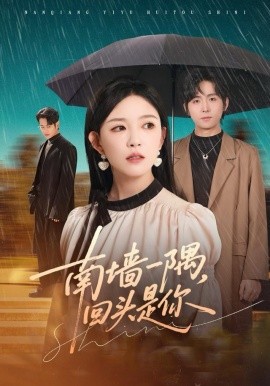 南墙一隅，回头是你(全集)