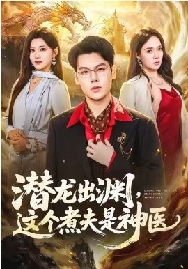 潜龙出渊，这个煮夫是神医(全集)
