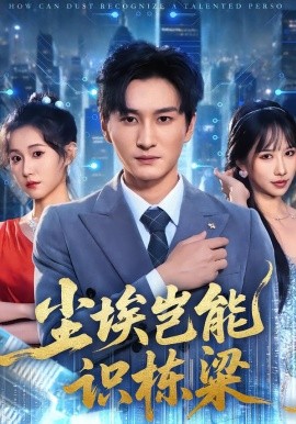 尘埃岂能识栋梁(全集)