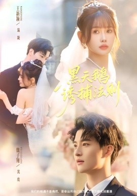 黑天鹅诱捕法册(全集)